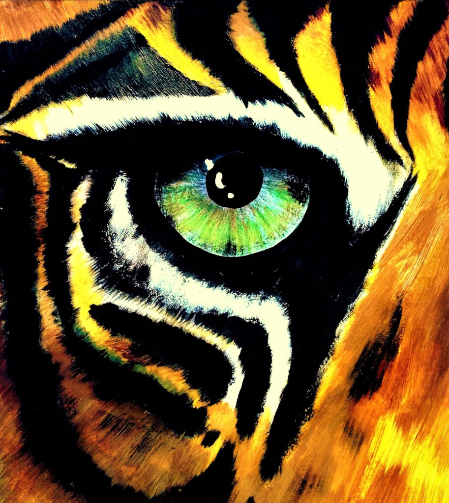✧ TIGER SIGHTThe eye does not seek attention — it holds it.
